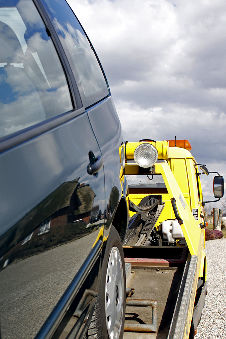 Plans protection mazda val david